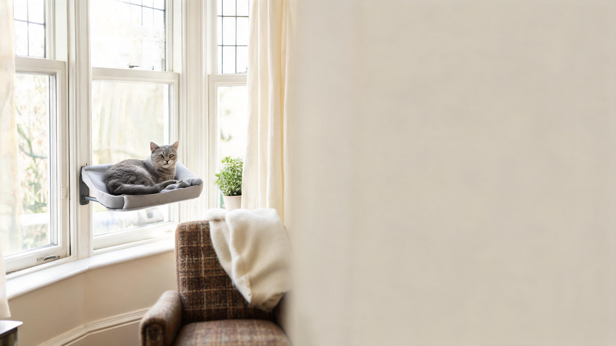 Ideas for Safe Window Perches for Your Cat in UK Homes