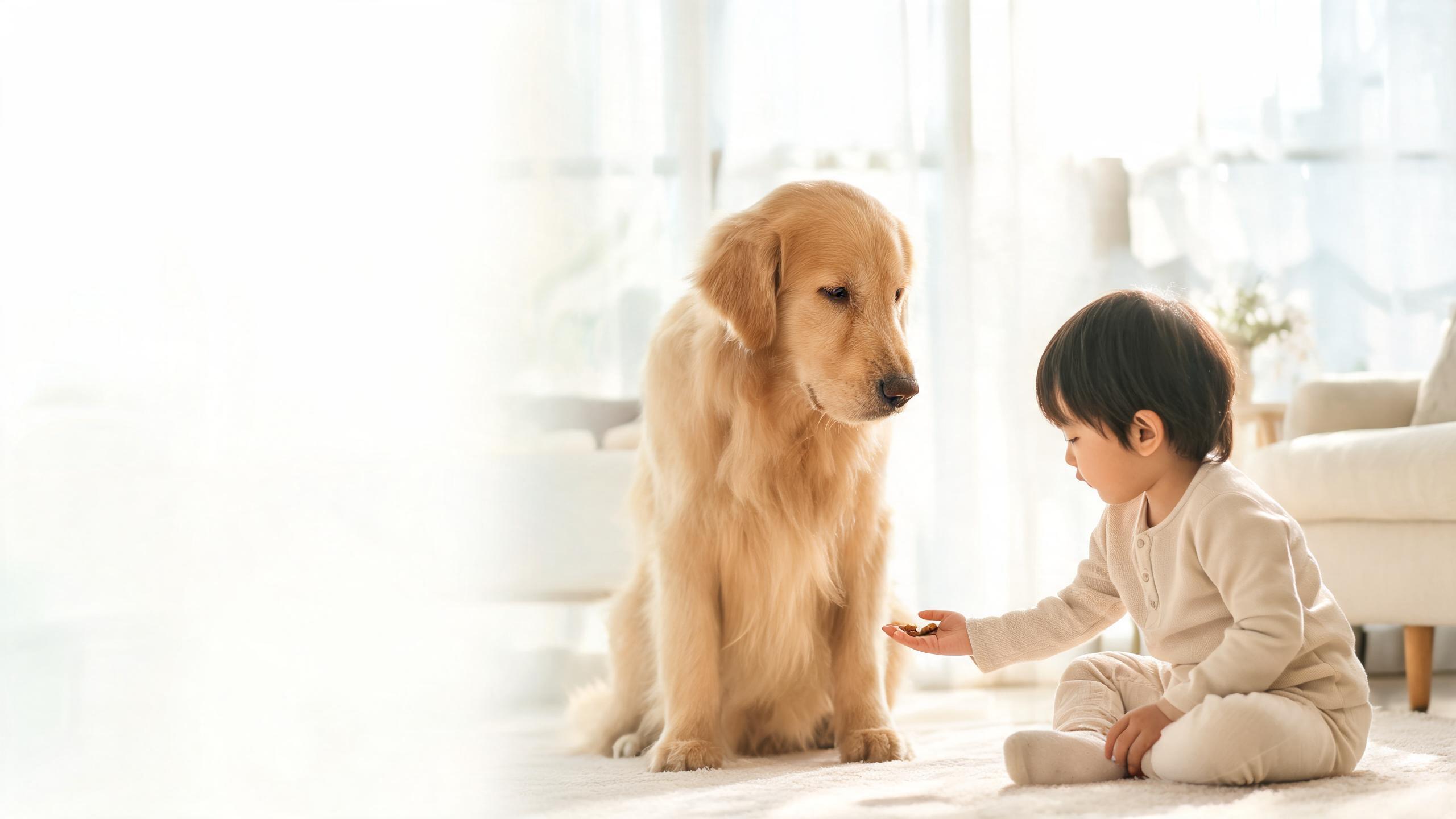 Practical Tips for Safe Interactions with Children and Your Dog